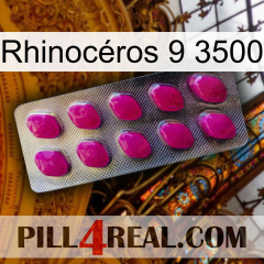 Rhinocéros 9 3500 09